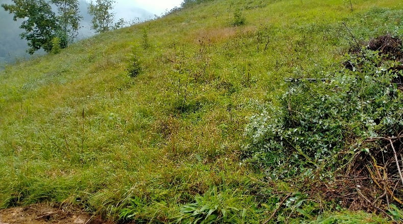 Asturias - San Cristóbal - 1800m2