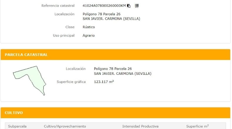 Sevilla - Carmona - 123800m2