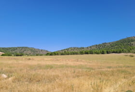 Foto 17
