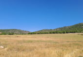 Country house with land for sale on Carretera de Elche de la Sierra a Riopar, Elche de la Sierra, ref: TR110469 photo