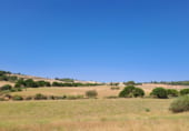 Country house with land for sale on Carretera de Elche de la Sierra a Riopar, Elche de la Sierra, ref: TR110469 photo
