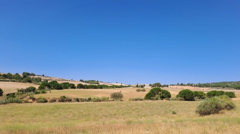 Albacete - Elche de la Sierra - 600000m2