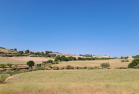 Foto 19