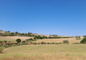 Country house with land for sale on Carretera de Elche de la Sierra a Riopar, Elche de la Sierra, ref: TR110469 photo