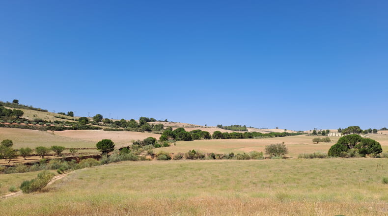 Albacete - Elche de la Sierra - 600000m2
