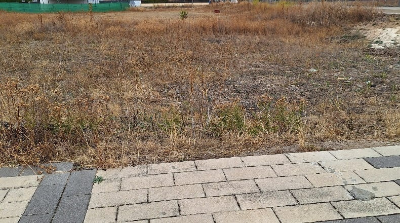 Valladolid - Villanubla - 608m2