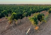 Land with solar installation for sale on La Atalayuela, El Provencio, ref: TR110447 photo