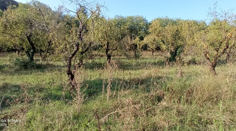 Huesca - Estadilla - 2000m2