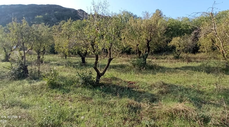 Huesca - Estadilla - 2000m2