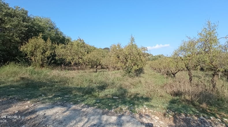 Huesca - Estadilla - 2000m2
