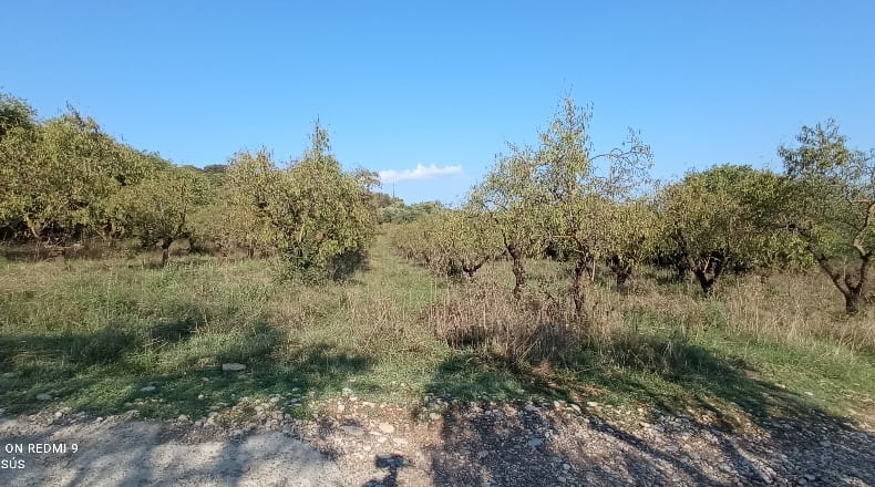Huesca - Estadilla - 2000m2