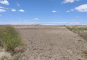 Non-developable land for sale on Camino de Esquivias, Torrejón de Velasco, ref: TR110496 photo