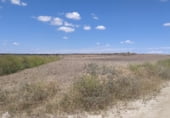 Non-developable land for sale on Camino de Esquivias, Torrejón de Velasco, ref: TR110496 photo