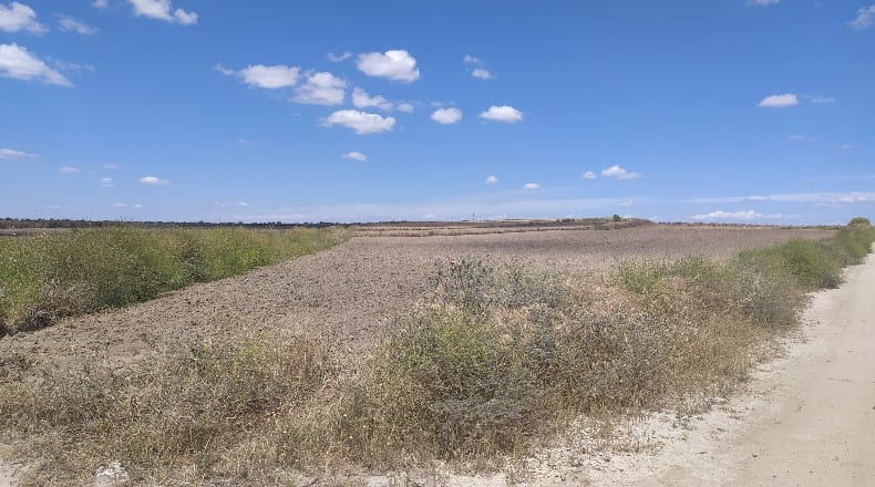 Comunidad de Madrid - Torrejón de Velasco - 19800m2