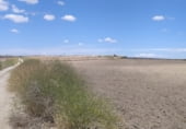 Non-developable land for sale on Camino de Esquivias, Torrejón de Velasco, ref: TR110496 photo
