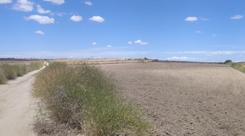 Comunidad de Madrid - Torrejón de Velasco - 19800m2
