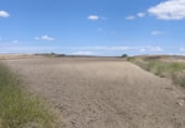 Non-developable land for sale on Camino de Esquivias, Torrejón de Velasco, ref: TR110496 photo