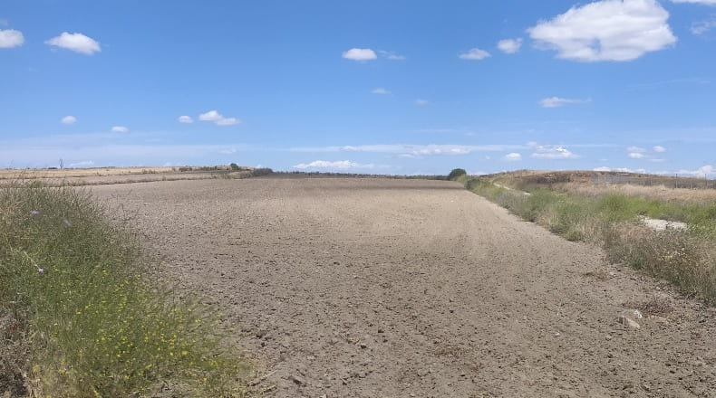 Comunidad de Madrid - Torrejón de Velasco - 19800m2