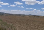 Non-developable land for sale on Camino de Esquivias, Torrejón de Velasco, ref: TR110496 photo