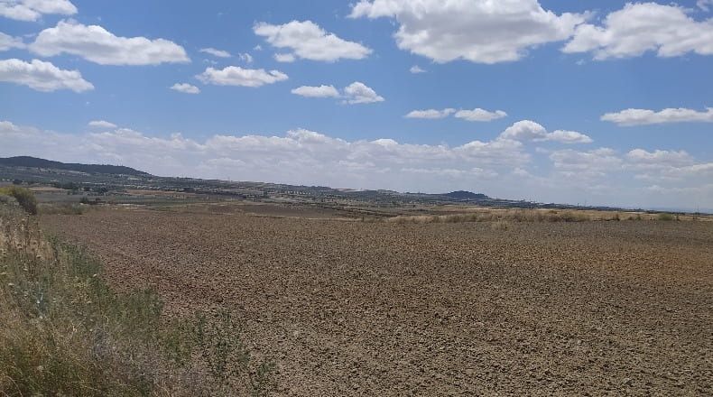 Comunidad de Madrid - Torrejón de Velasco - 19800m2