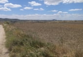 Non-developable land for sale on Camino de Esquivias, Torrejón de Velasco, ref: TR110496 photo