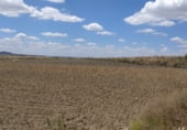 Non-developable land for sale on Camino de Esquivias, Torrejón de Velasco, ref: TR110496 photo