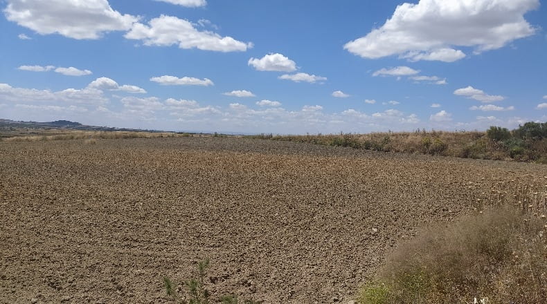 Comunidad de Madrid - Torrejón de Velasco - 19800m2