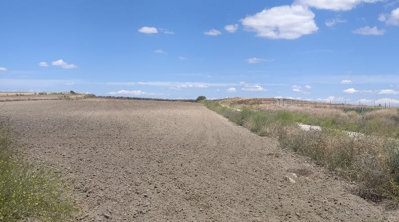 Comunidad de Madrid - Torrejón de Velasco - 19800m2
