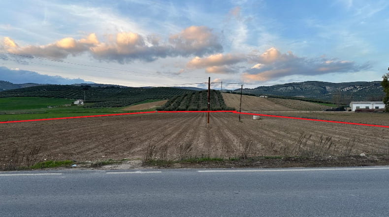 Granada - Montefrío - 11155m2