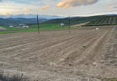 Terreno no urbanizable en venta en la Milanos, Montefrío, ref: TR110638 foto