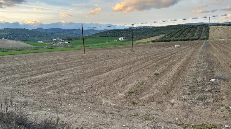 Granada - Montefrío - 11155m2