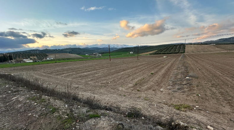 Granada - Montefrío - 11155m2