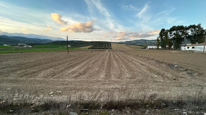 Granada - Montefrío - 11155m2