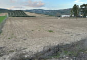 Terreno no urbanizable en venta en la Milanos, Montefrío, ref: TR110638 foto