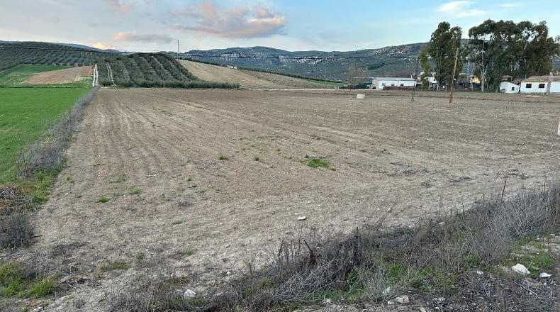 Granada - Montefrío - 11155m2