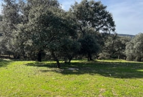 Almendral de la Cañada 70000&nbsp;m² 