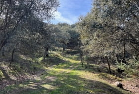 Almendral de la Cañada 70000&nbsp;m² 
