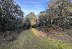 Almendral de la Cañada 70000&nbsp;m² 