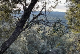 Almendral de la Cañada 70000&nbsp;m² 