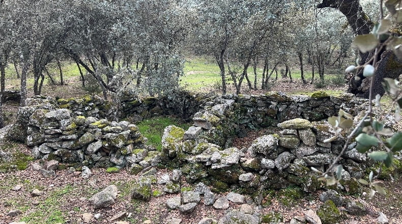 Toledo - Almendral de la Cañada - 70000m2