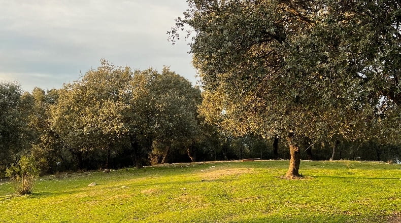 Toledo - Almendral de la Cañada - 70000m2