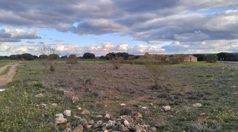 Albacete - Munera - 40000m2