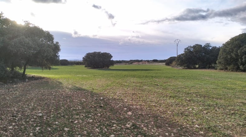 Albacete - Munera - 40000m2