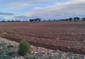 Terreny no urbanitzable en venda a la CM-3151, Villarrobledo, ref.: TR111171 foto