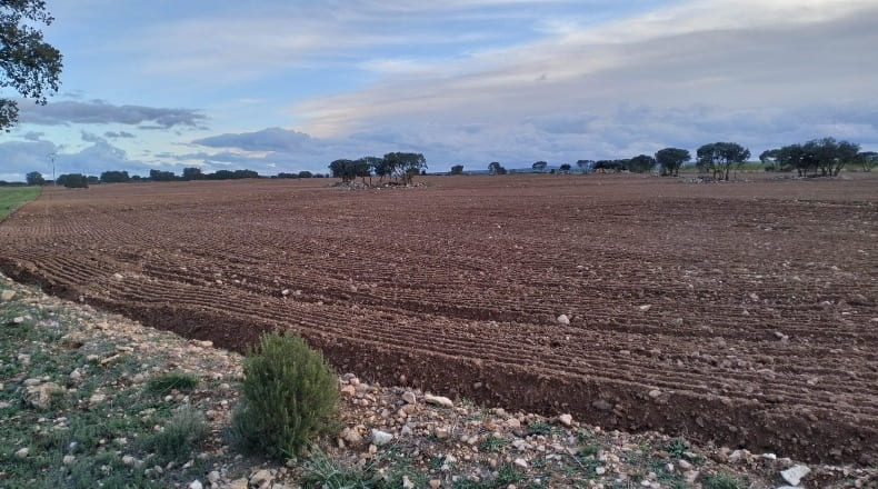 Albacete - Munera - 40000m2