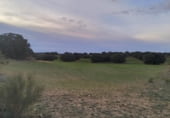 Terreny no urbanitzable en venda a la CM-3151, Villarrobledo, ref.: TR111171 foto