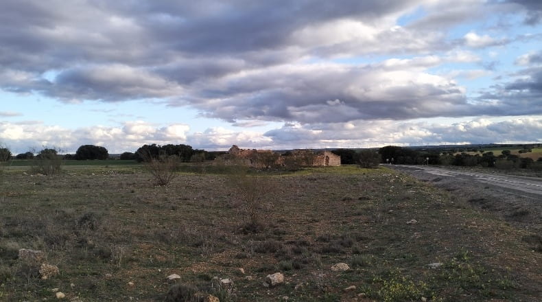 Albacete - Munera - 40000m2