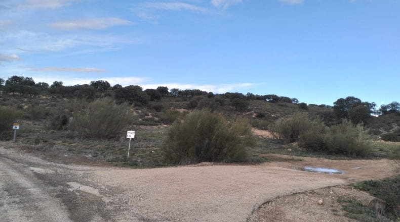 Albacete - Munera - 40000m2