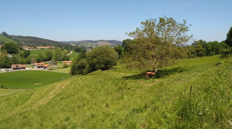Cantabria - Las Presillas - 10749m2