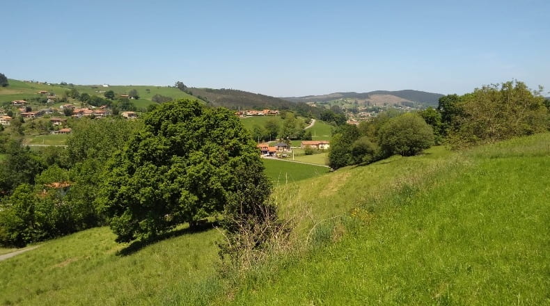 Cantabria - Las Presillas - 10749m2